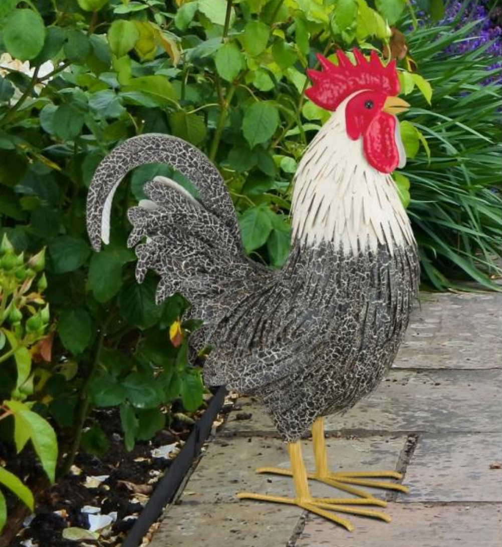 Murray Rooster Decor