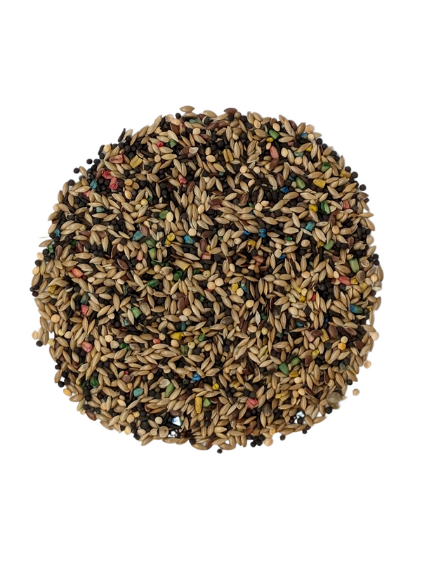 BADEN CANARY SB+ 22.68kg