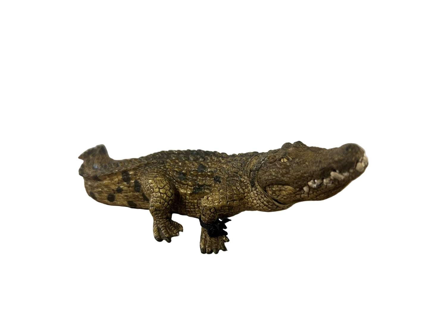 CROCODILE
