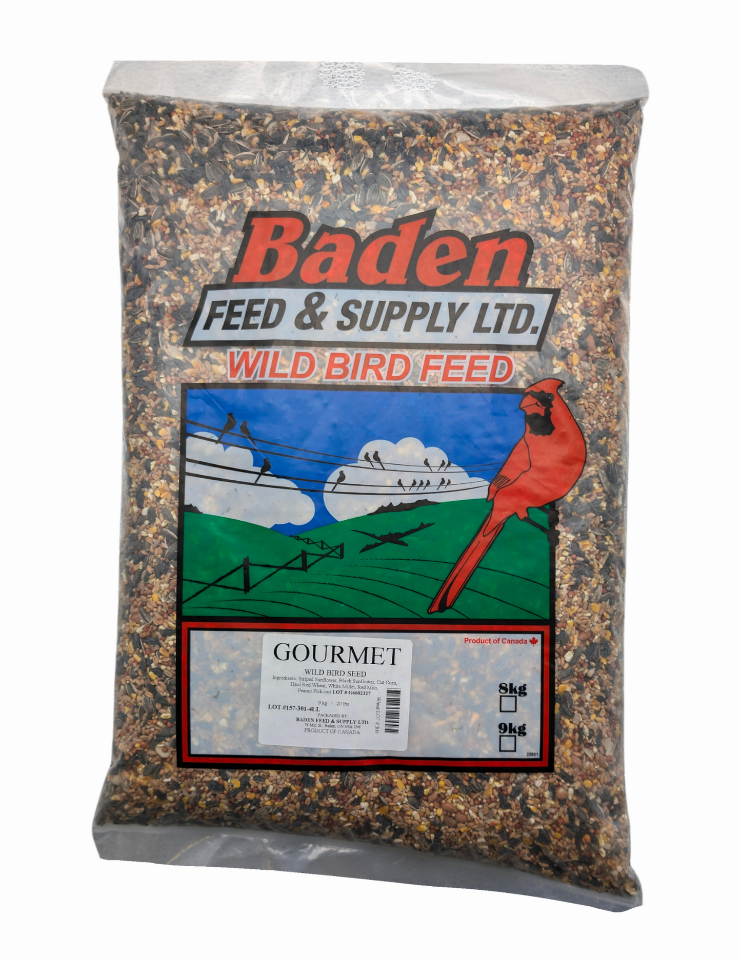 GOURMET BIRD SEED