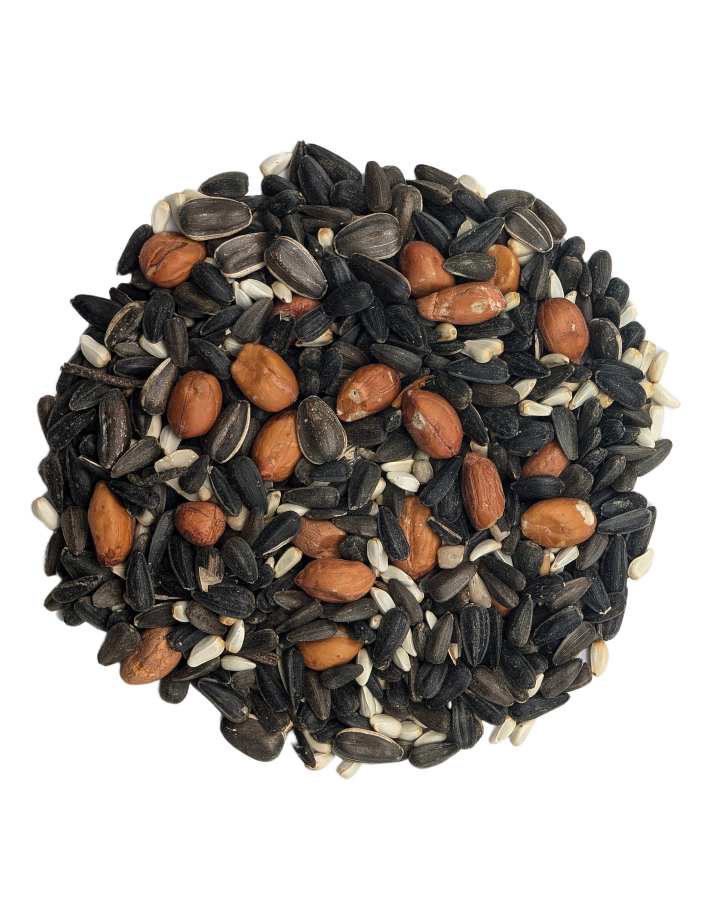 JAY AND CARDINAL MIX SEED