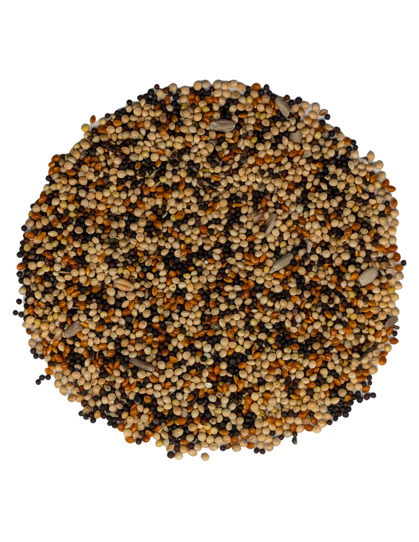 LITTLE BEAKS BIRD SEED