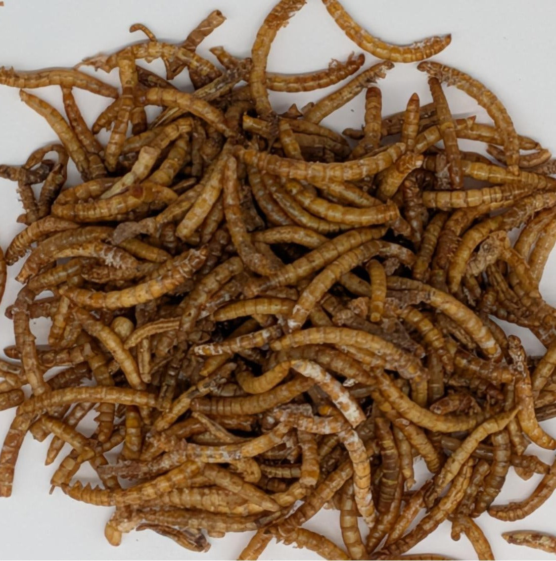 MEALWORMS DRIED 2.3KG
