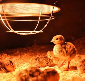 HEAVY DUTY 10.5" BROODER LIGHT