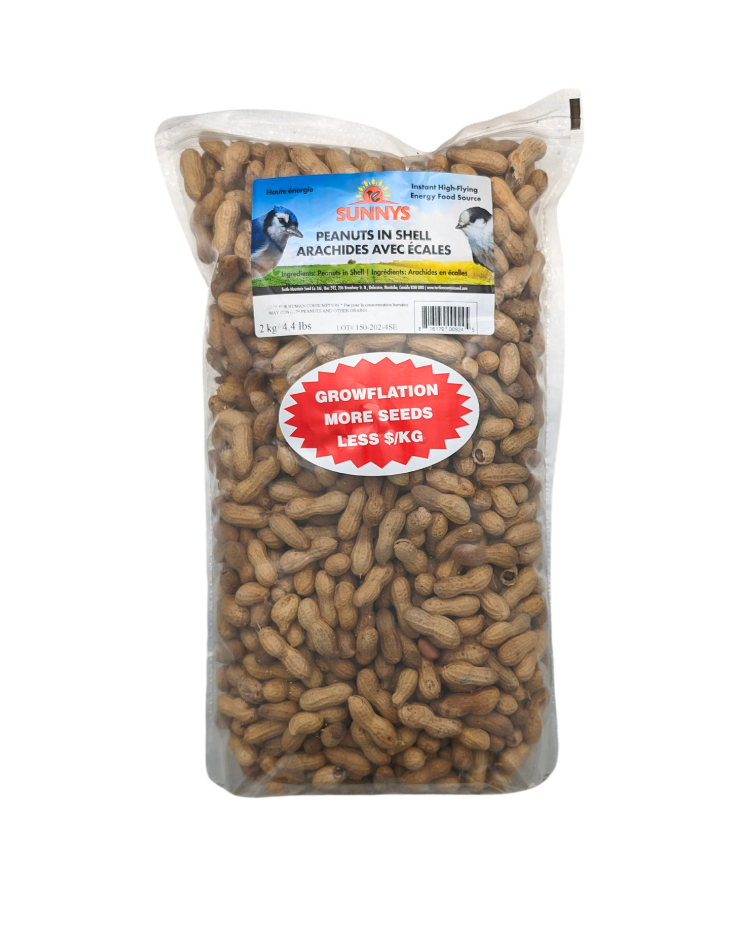 PEANUTS IN SHELL