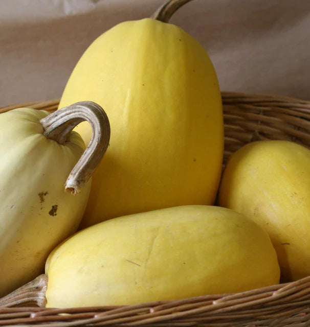 VEGETABLE SPAGHETTI SQUASH