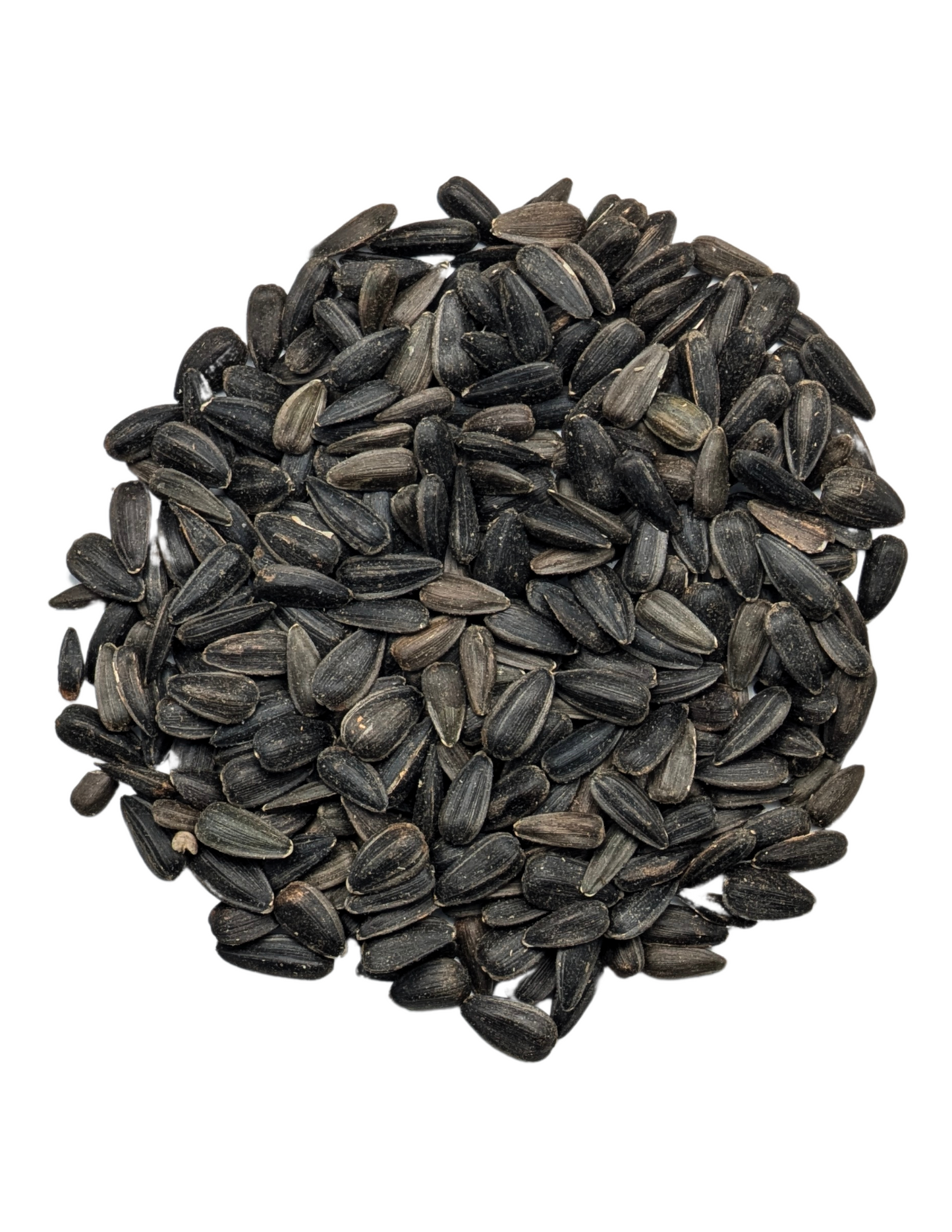 BLACK OIL SUNFLOWER SEED