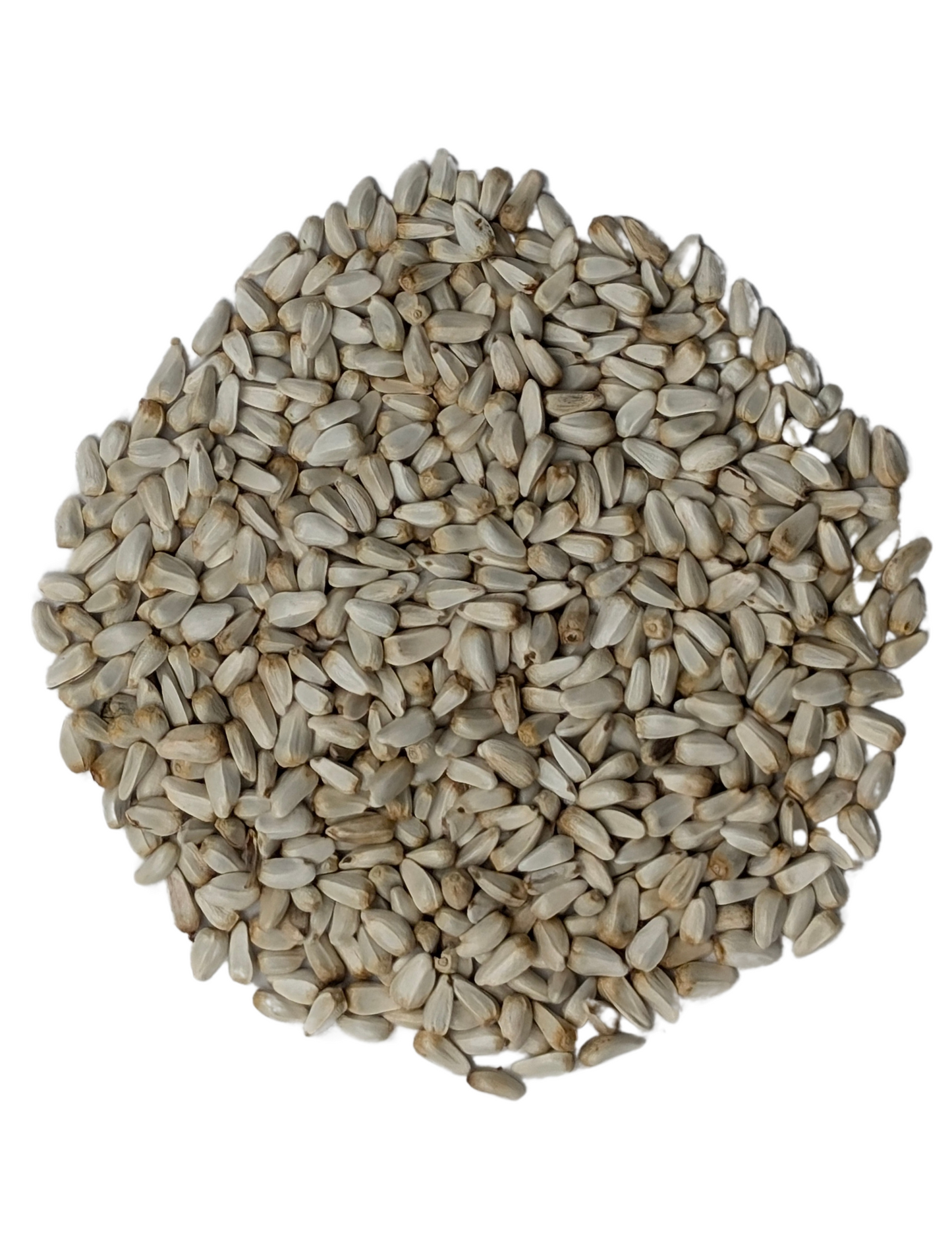 SAFFLOWER SEED