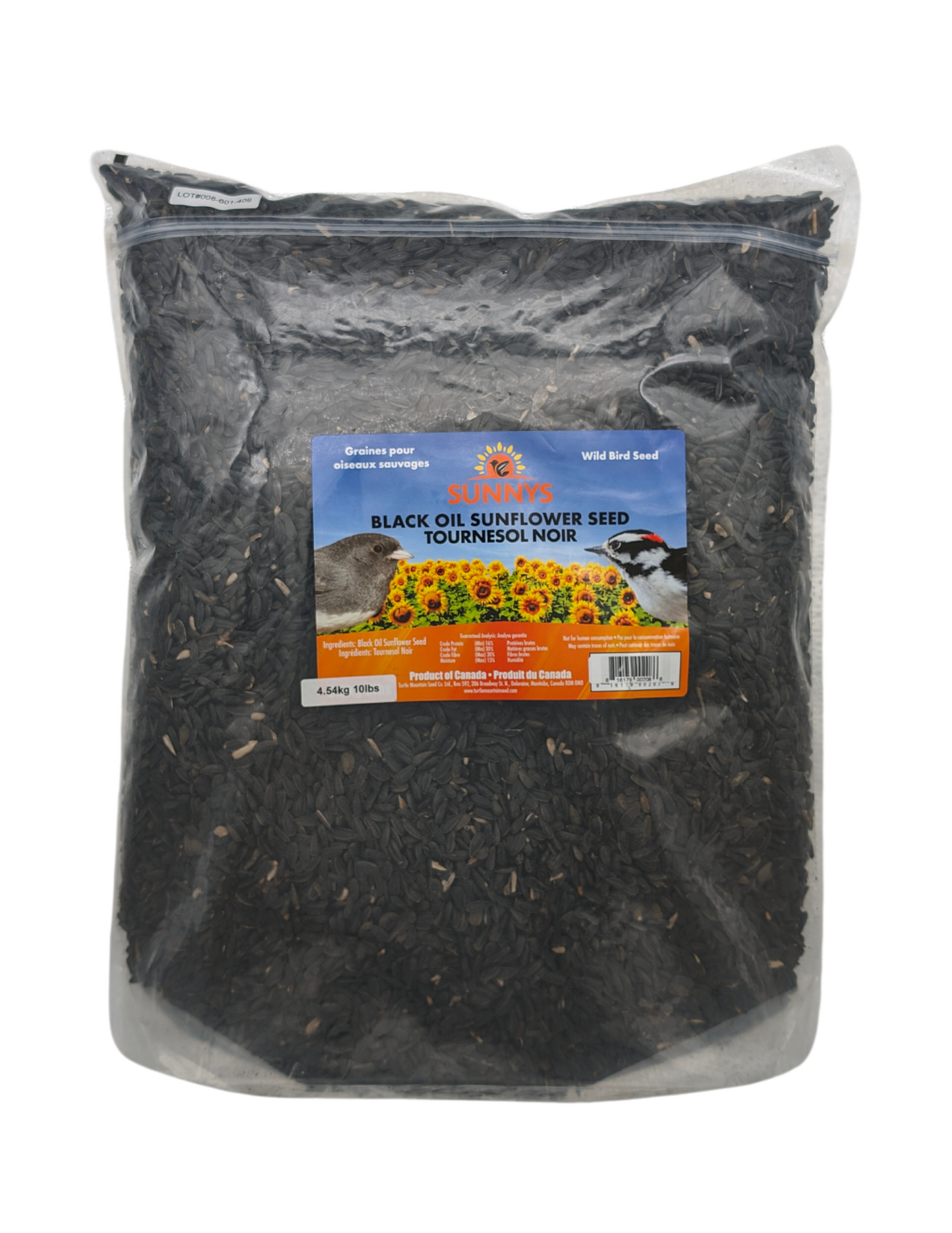 BLACK OIL SUNFLOWER SEED