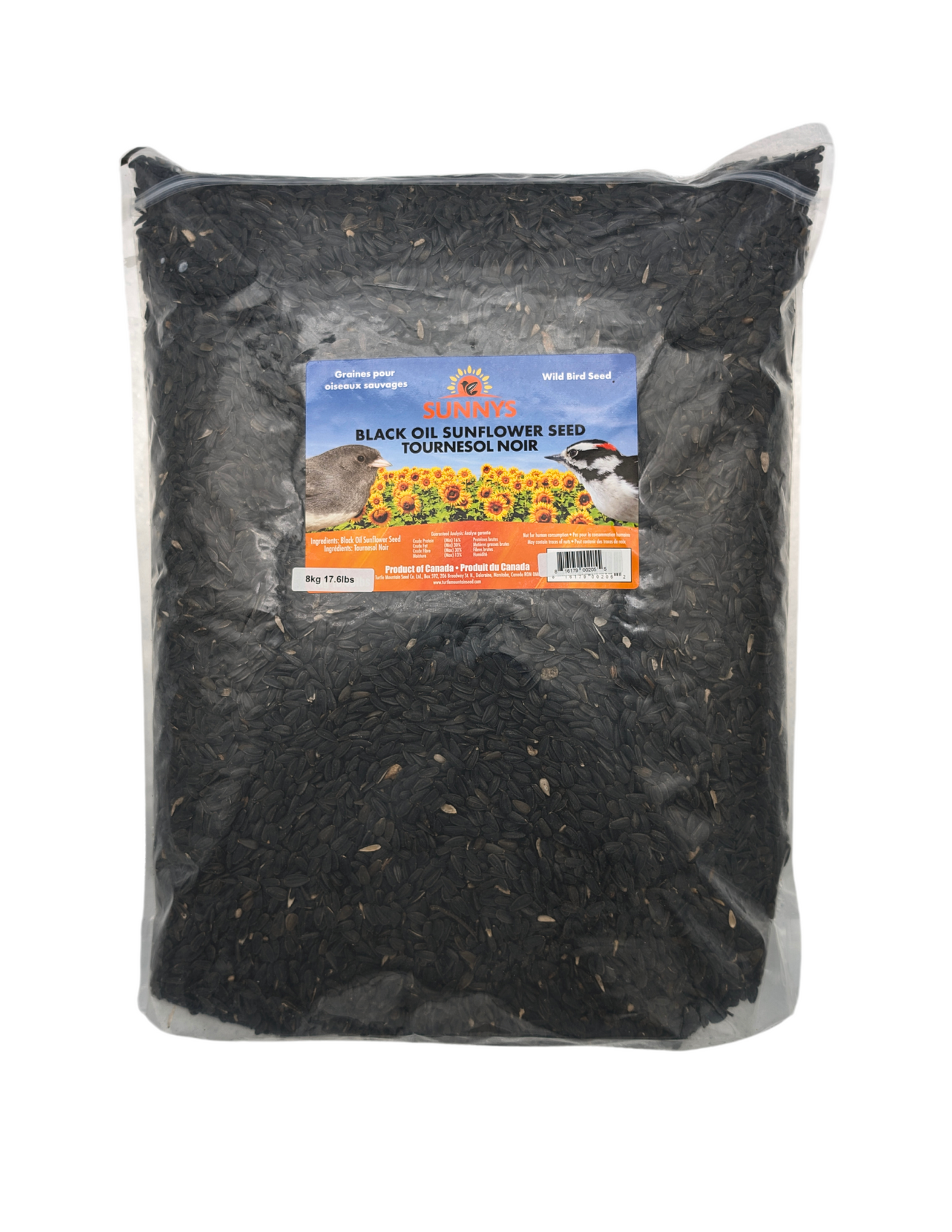 BLACK OIL SUNFLOWER SEED