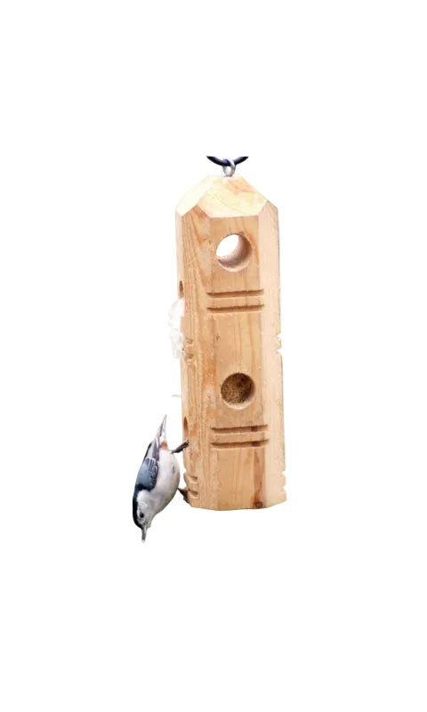 SUET PLUG FEEDER