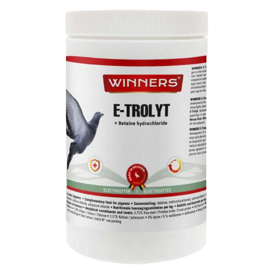 WINNERS E-TROLYT 700G