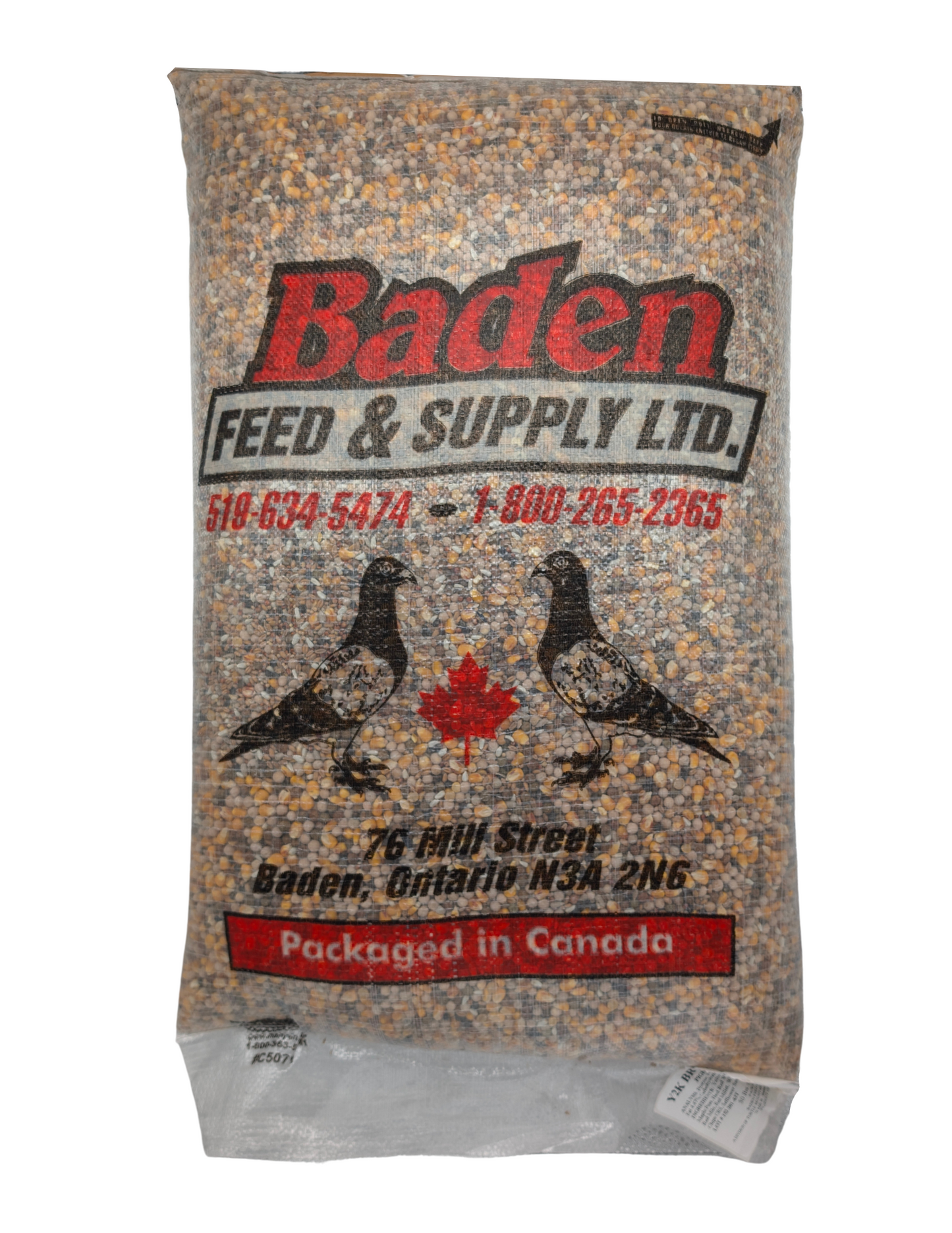 Y2K PIGEON BREEDING MIX