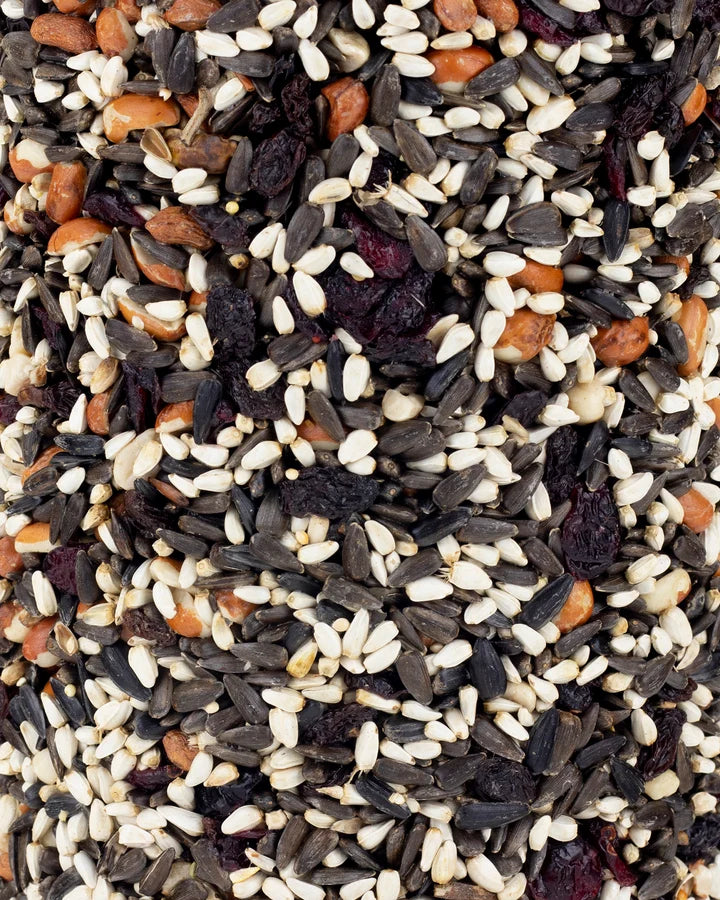 CARDINAL FEAST SEED CYLINDER