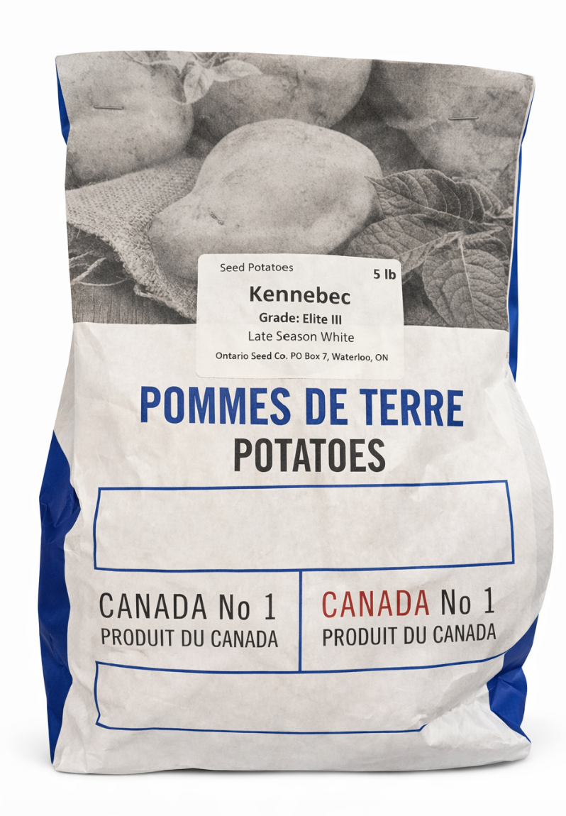 KENNEBEC SEED POTATOS