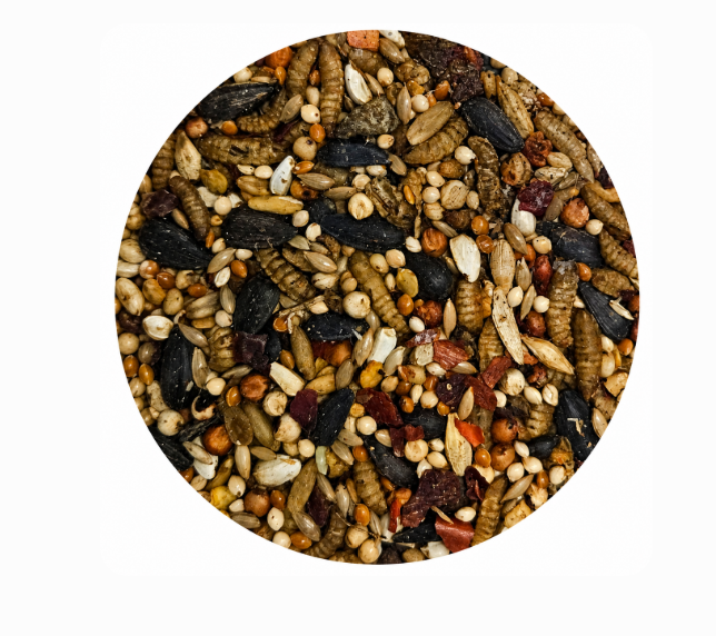 No Squirrel Wild Bird Seed Blend 9KG
