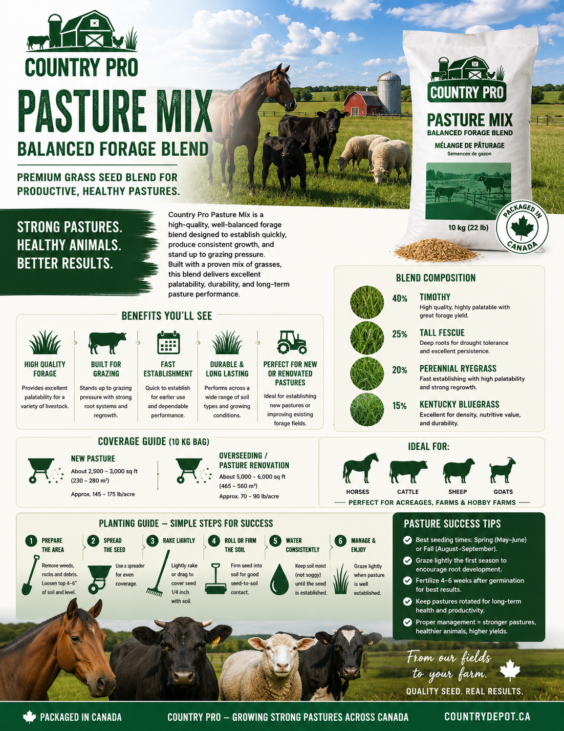 Pasture Mix – Balanced Forage Blend (10 kg)