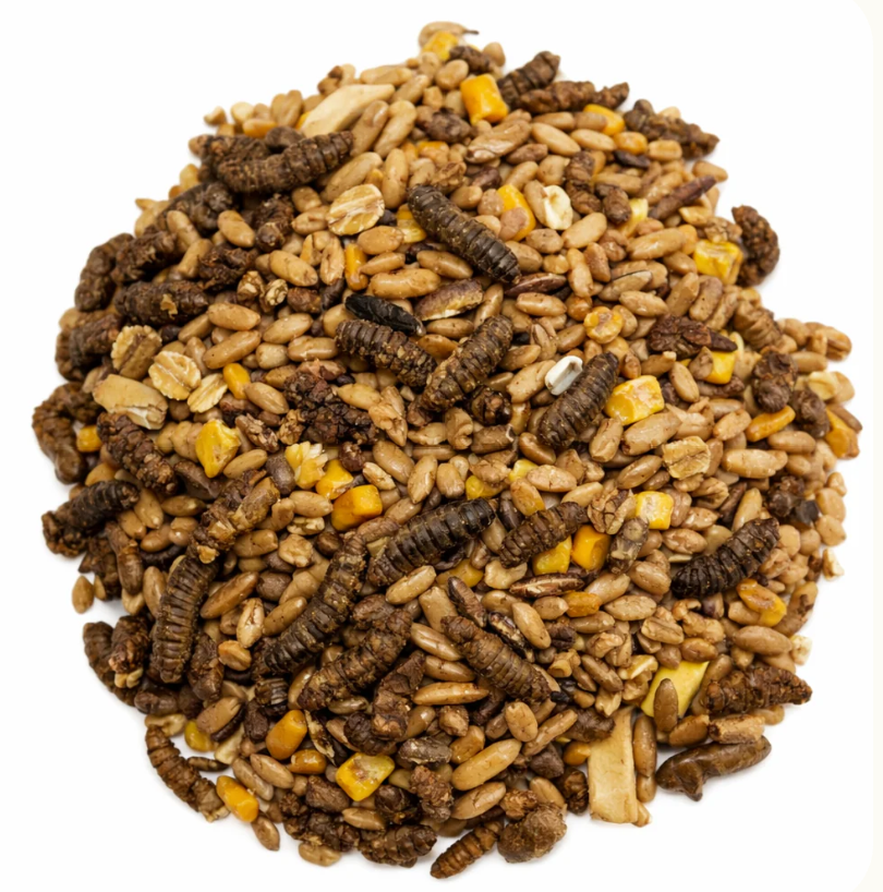 SCRATCH GRAIN WITH BLACK SOLDIER FLY LARVAE 4KG