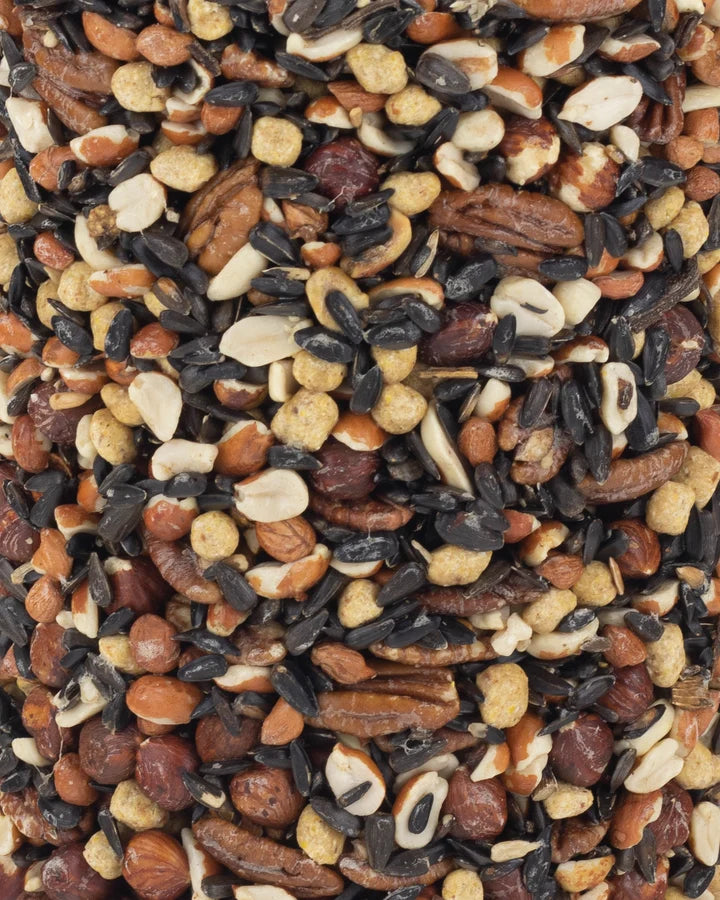 WOODPECKER SEED CYLINDER