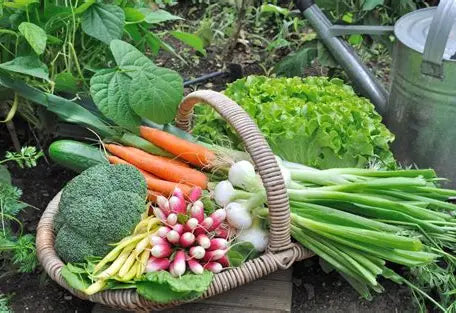Growing Products