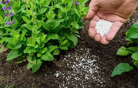 Garden Fertilizer