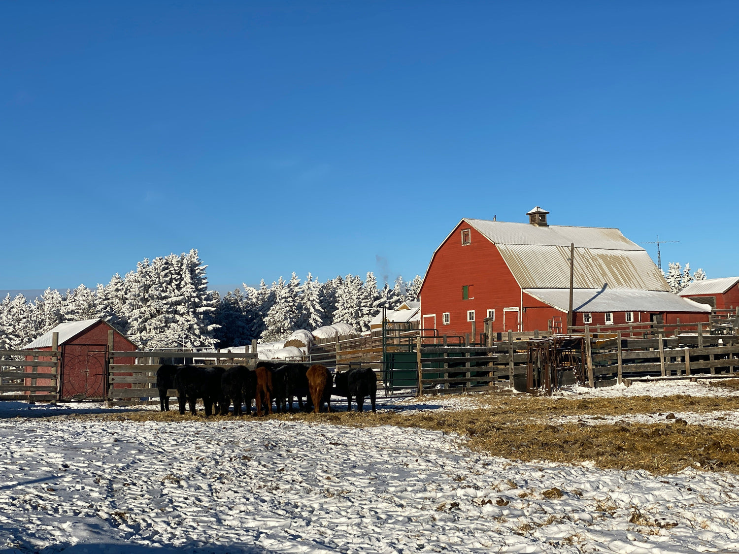 Winter Supplies
