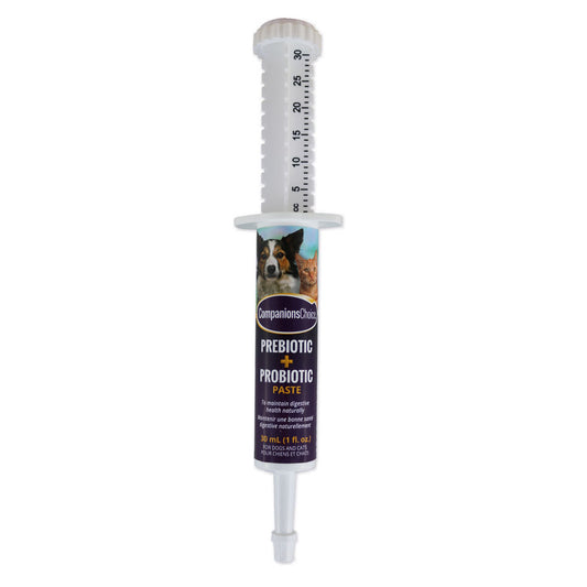 COMPANIONS CHOICE PRE&PROBIOTIC PASTE