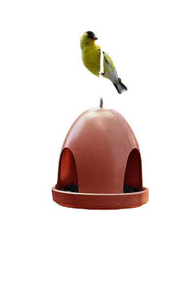 ECO DOME BIRD FEEDER