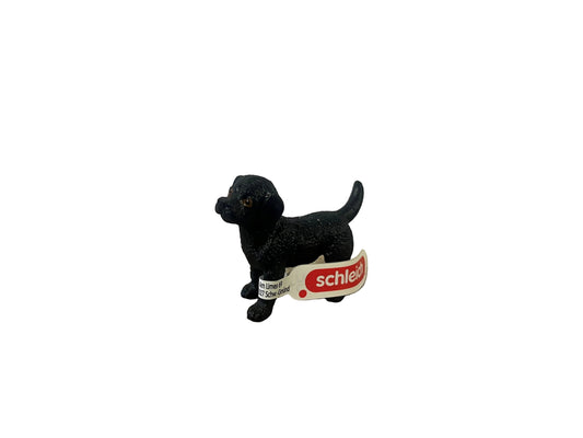 BLACK LABRADOR PUPPY