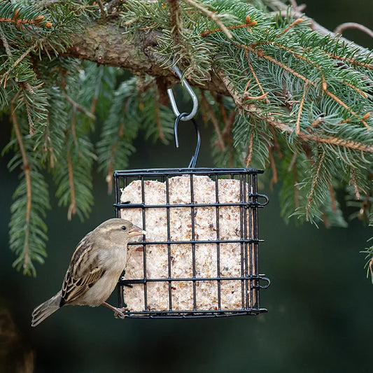 FEEDER SEED CAKE