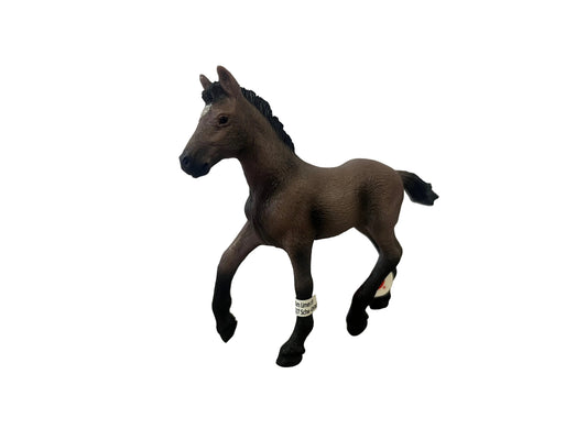 PASO PERUANO FOAL