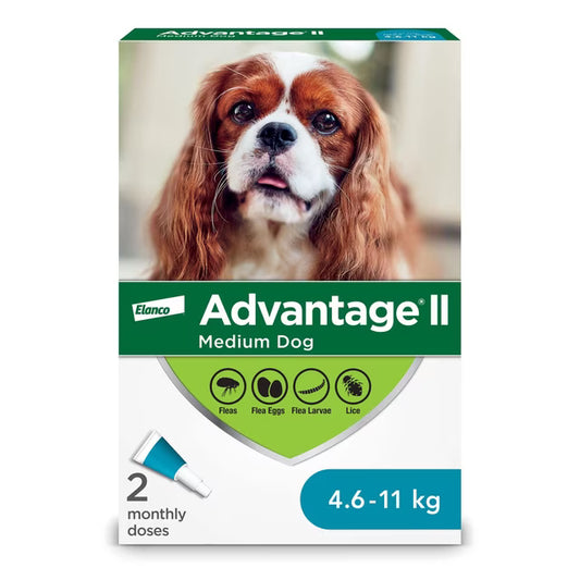 ADVANTAGE MEDIUM DOG 4-11.3KG