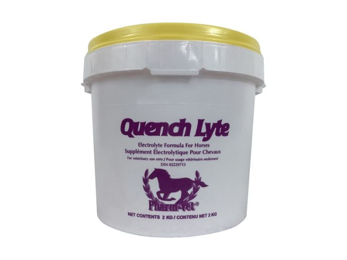 QUENCH LYTE RASPBERRY FLAVOUR ELECTROLYTE FORMULA FOR HORSES 2KG