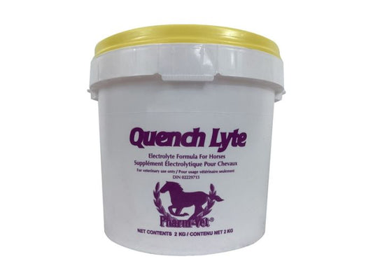 QUENCH LYTE RASPBERRY FLAVOUR ELECTROLYTE FORMULA FOR HORSES 2KG