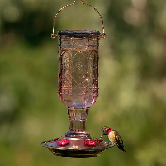 JEWEL AMETHYST HUMMINGBIRD FEEDER