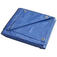 PROSOURCE LIGHT DUTY TARP 6'X8'