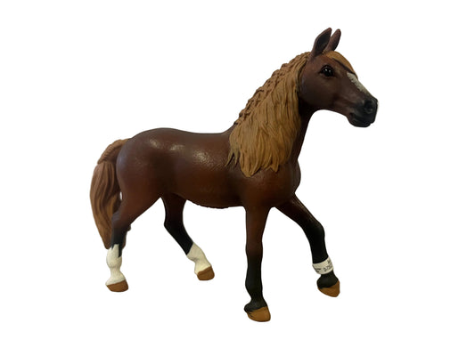 PASO PERUANO MARE