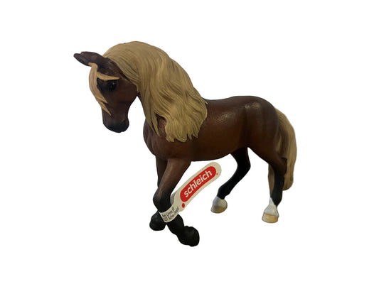PASO PERUANO STALLION
