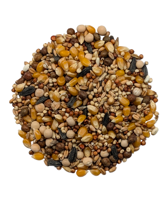BADEN 15% PROTEIN