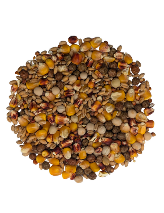 BADEN PIGEON MIX