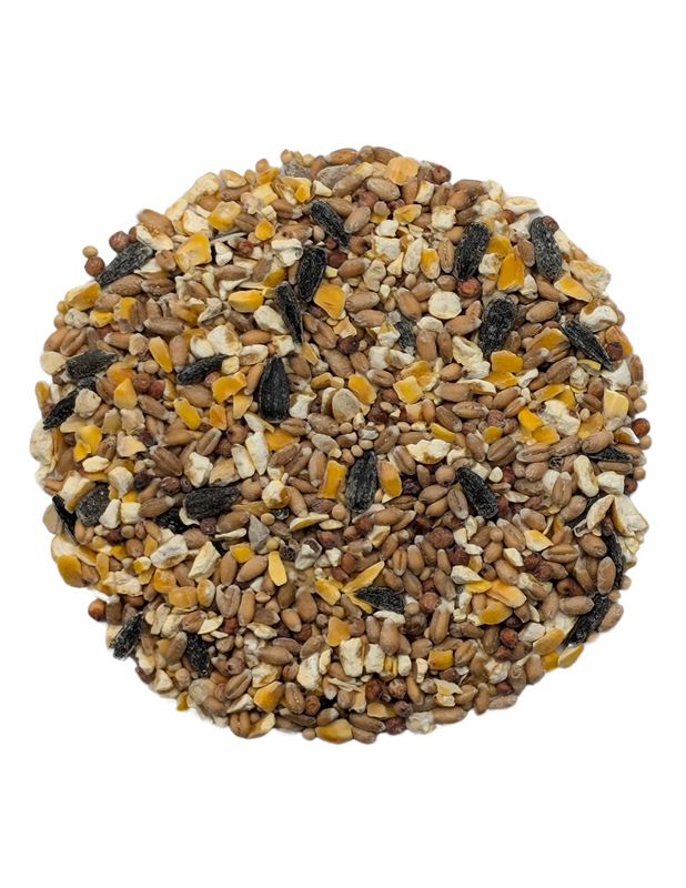 25KG BADEN WILD BIRD SEED