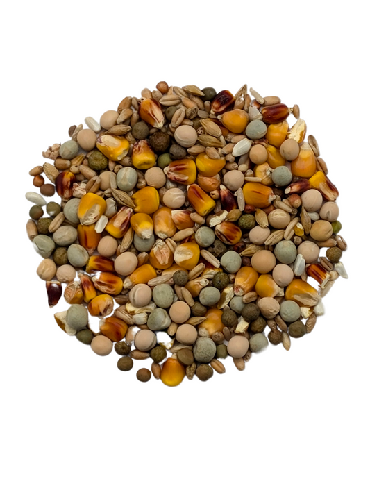 BADEN YOUNGBIRD MIX