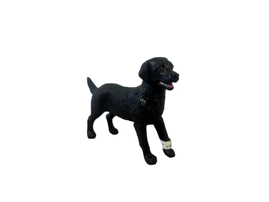 BLACK LABRADOR FEMALE