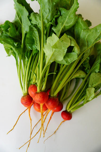 GOLDEN BOY BEETS