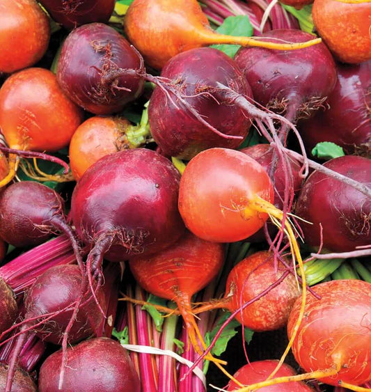 BEET BLEND BEETS