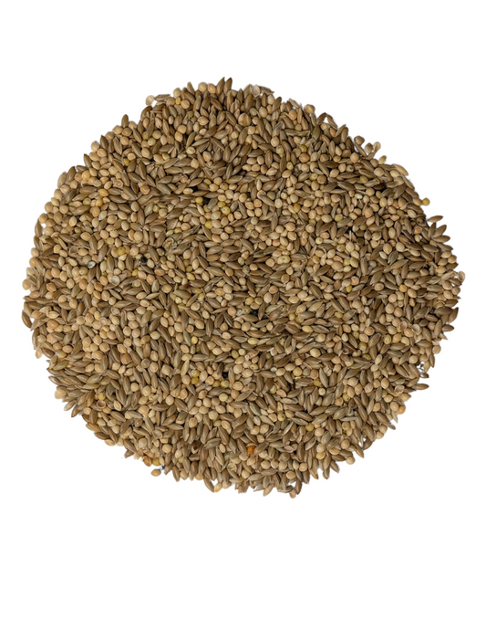 Budgie Mix