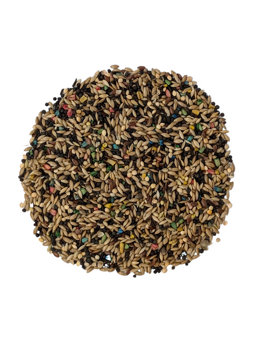 BADEN CANARY SB+ 22.68kg