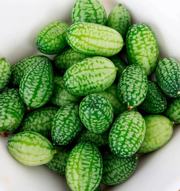 CUCAMELON CUCUMBERS