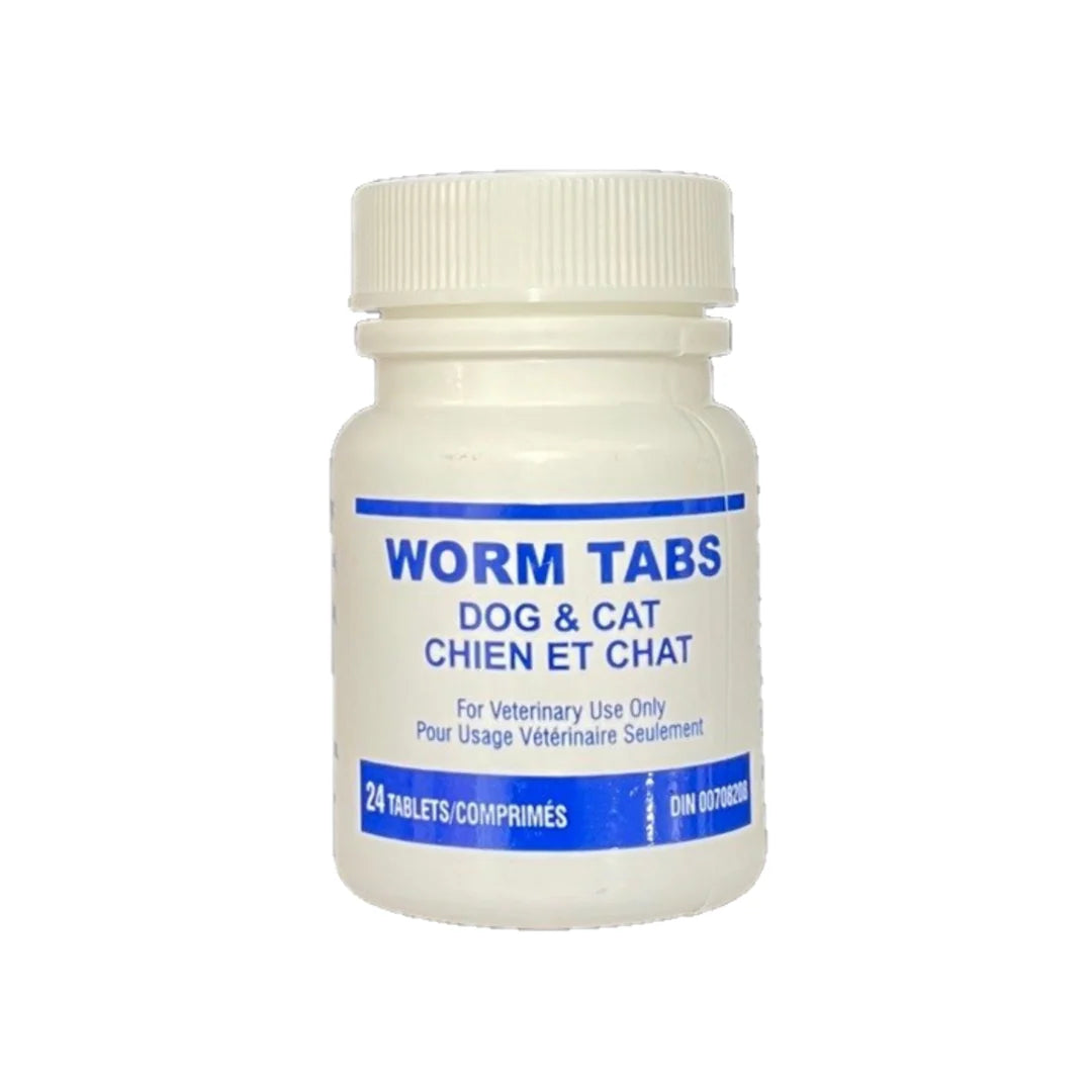 WORM TABS DOG & CAT 24pk