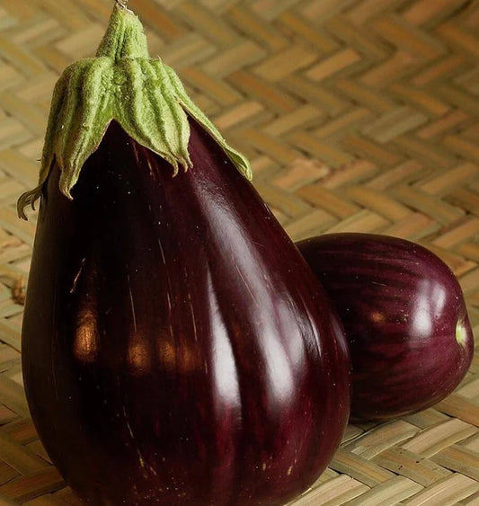 BLACK BEAUTY ORGANIC EGGPLANT